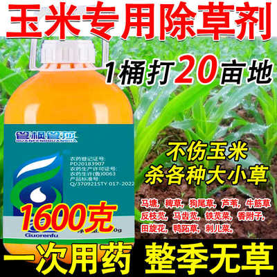 玉米除草剂玉米专用除草剂专杀玉米地杂草草死根不返青玉米除草剂