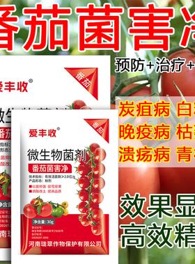 番茄病全治西红柿专用药疫病灰霉病病毒病叶斑病专用