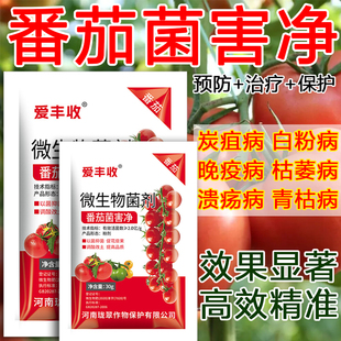 番茄病全治西红柿专用药疫病灰霉病病毒病叶斑病专用