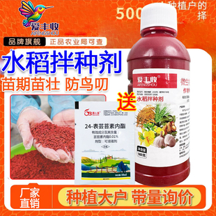 水稻玉米大蒜花生专用拌种剂种衣剂苯甲吡虫啉全蚀病蛴螬杀菌500g
