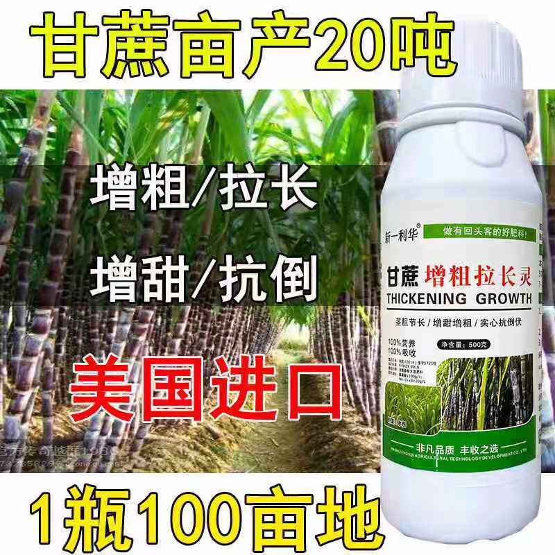 甘蔗增粗增长增糖灵增甜膨大素叶面肥料黑粗长膨大生根拉长拉直