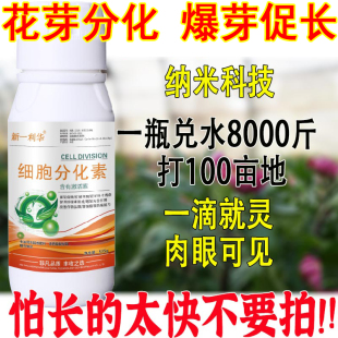 叶面肥爆芽素发芽分化增产增收膨果补营养草莓包邮细胞分裂素