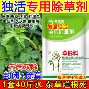 独活除草剂独活苗后除草剂中药材除草剂禾阔双除不伤苗狗尾草马塘