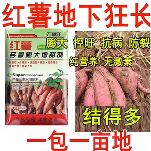 万岁红红薯控旺膨大素 地瓜专用控秧膨大素防裂皮叶面肥增甜增产
