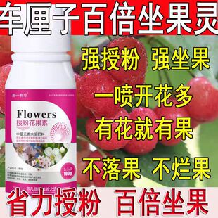 车厘子专用授粉药授粉花果防落素保花保果素沾花素樱桃授粉座果精
