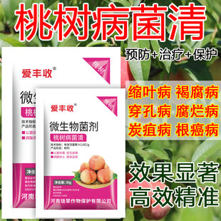 桃子杀菌剂桃树专用桃子病全治穿孔流胶缩叶病疮痂病炭疽病褐腐病