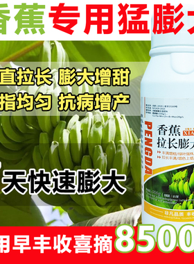 香蕉叶面肥香蕉膨大拉长增甜着色素保花保果膨大拉长增粗抗病壮苗