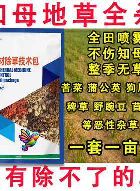 知母除草剂快速杀杂草中药田苗后除草剂杀香附烂根苗后除草剂农药