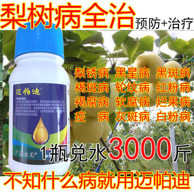 梨树病全治梨树专用杀菌剂酥梨锈病黑星病黑斑病褐斑病轮纹病褐腐