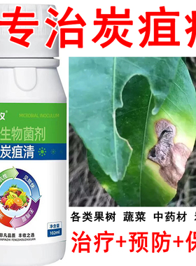 柑橘炭疽病黄瓜辣椒番茄大豆烟叶果树蔬菜水果炭疽病微生物菌肥料