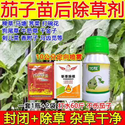 茄子苗后除草剂茄子除草剂禾阔双除砜嘧精喹马塘草芦苇除草狗尾草