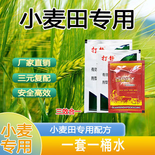 小麦除草剂麦田除草炔草酯苯磺隆二甲四氯钠农药小麦苗后除草10亩