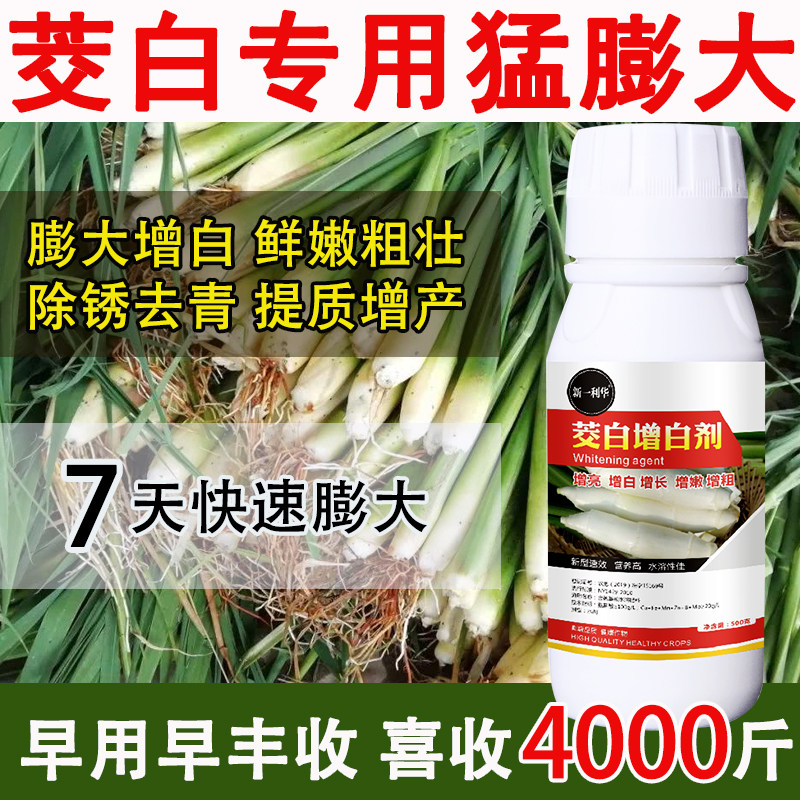 茭白专用膨大剂膨果素膨果钾宝高钾增甜防裂抗逆防落着色肥料农用