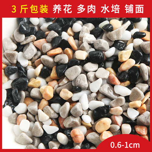天然鹅卵石白色鱼缸造景花盆多肉