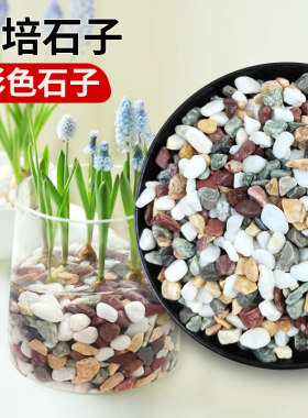 天然彩石水培植物装饰固定石子