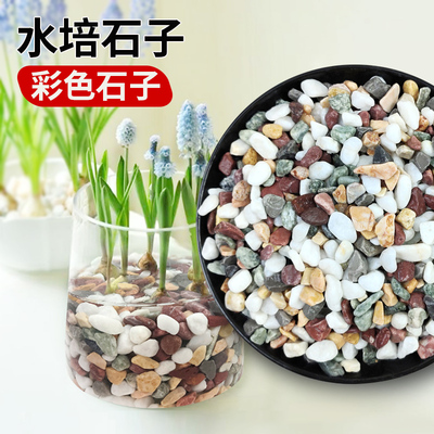 天然彩石水培植物装饰固定石子
