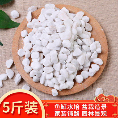 鹅卵石天然雨花石小白石子多肉铺面石盆栽花盆鱼缸庭院白色石头 - 封面