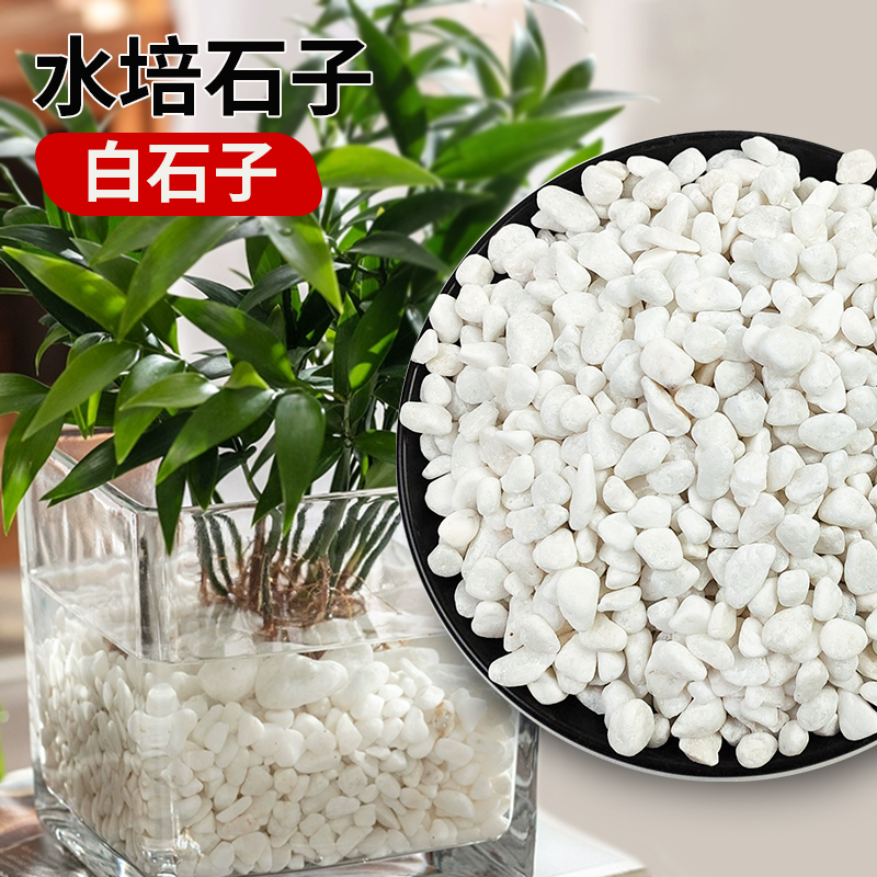 水培植物石子固定装饰白色石头