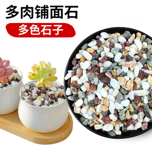 多肉铺面石花盆石头铺面盆栽彩石透气石鹅卵石养花专用小石子