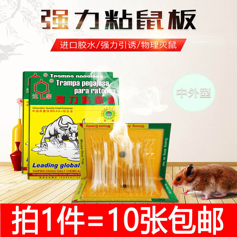 老鼠贴超强力粘鼠板驱鼠灭鼠器夹杀虫剂（卫生农药）