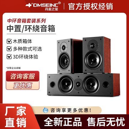 DMSEINC 5.1家庭影院中置环绕音响套装家用客厅发烧无源HIFI音箱