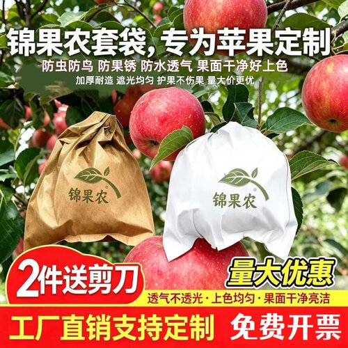 苹果专用树上保护袋防虫防水果袋