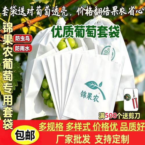厂家直销葡萄专用套袋防雨防虫鸟