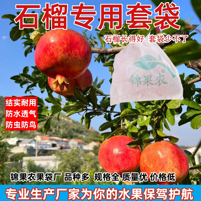 石榴专用套袋防水防裂果防虫袋