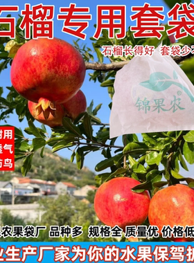 石榴专用套袋防水防裂果防虫袋