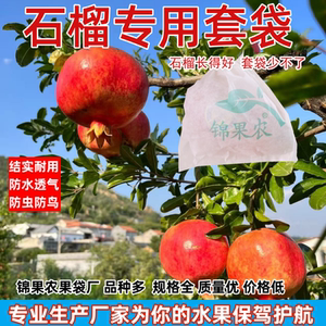 石榴专用套袋防水防裂果防虫袋