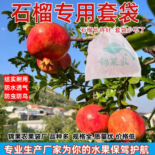 石榴专用套袋防水防裂果防虫袋