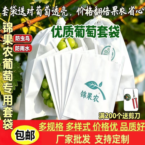 厂家直销葡萄专用套袋防雨防虫鸟