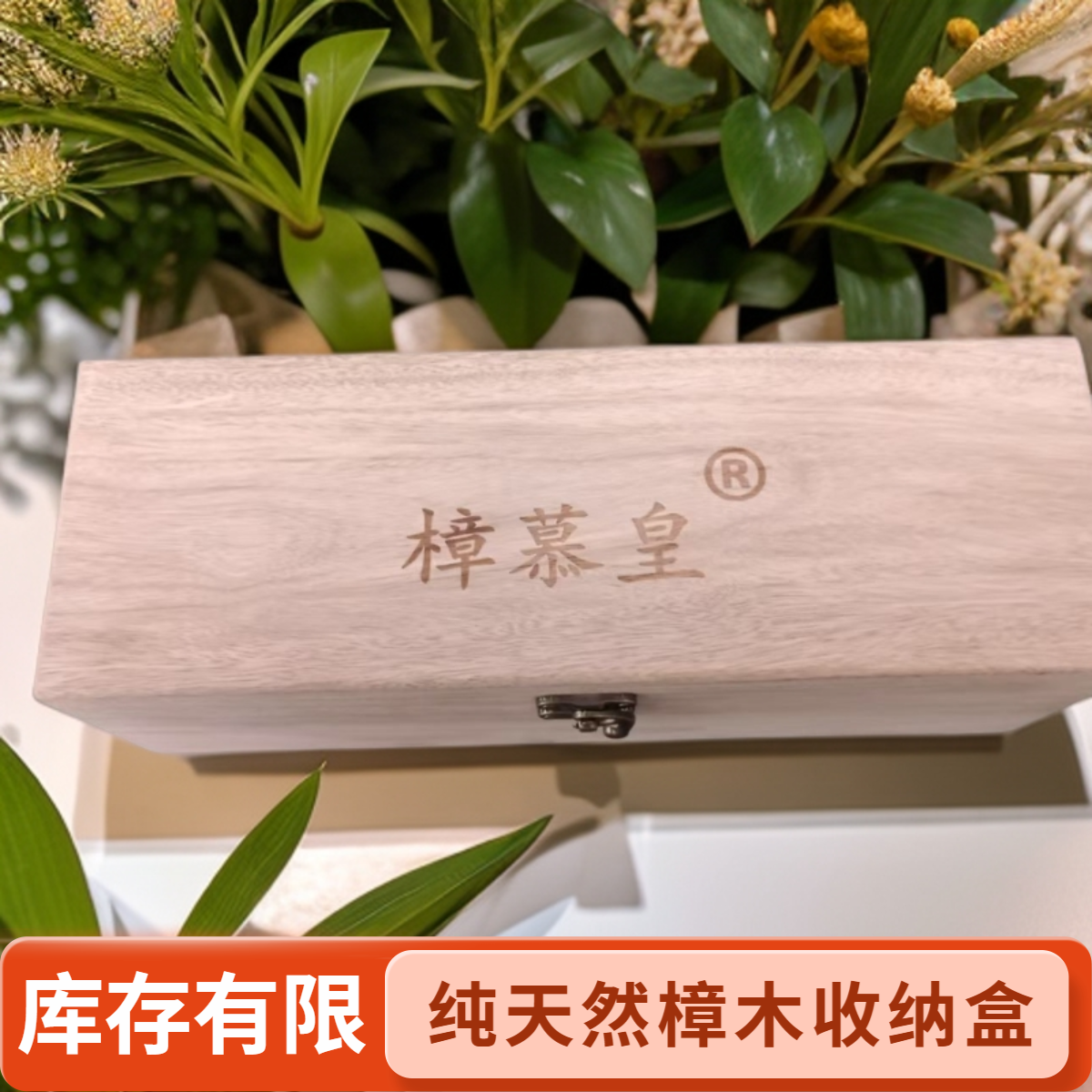 樟幕皇香樟木盒一个收纳书画文件红樟香樟木