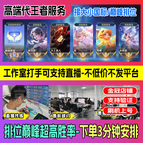 王者代练代打荣耀大小国标巅峰赛包时排位战力省市金标陪玩百星车