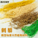 DIY手工沙盘模型场景材料 造型景观树仿真草丛植被树丛灌木丛刺藜