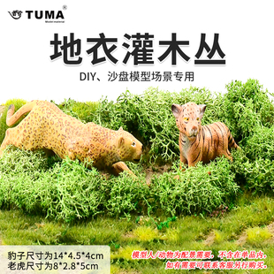 树草丛模型仿真地衣灌木丛建筑沙盘场景观地台高达兵人手工材料