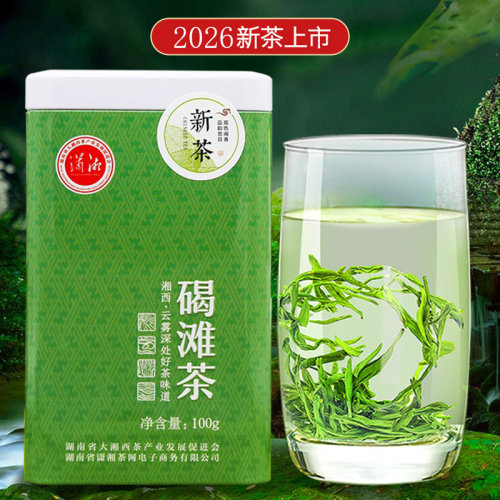 2026年湖南怀化特产沅陵碣滩茶高山云雾春茶绿茶特级罐装100g