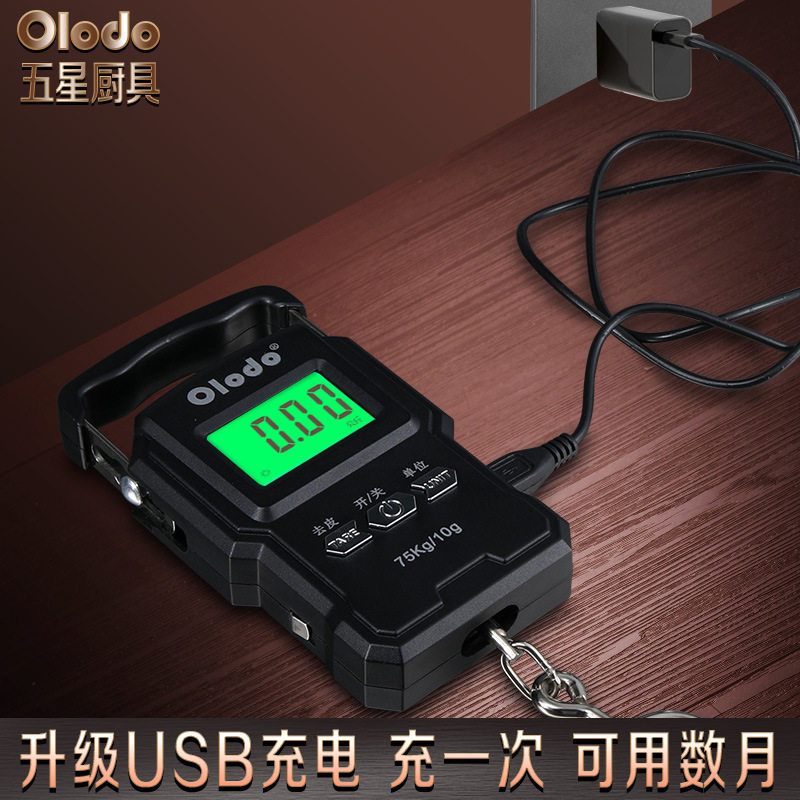 弹簧秤可携式手提电子秤迷你家用小型钩挂称精准快递称买菜手提秤