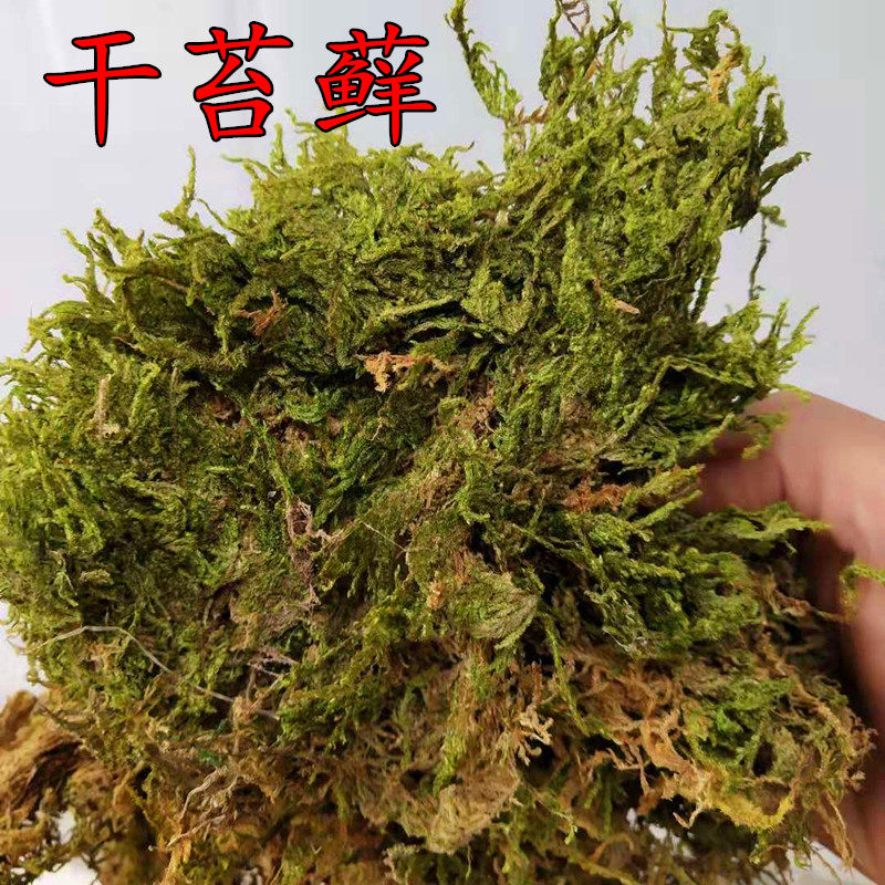 国产干水苔蝴蝶兰专用 压缩干水苔藓8kg大包装兰花栽培基质种植土