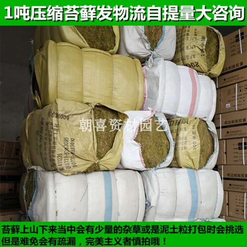 厂家干苔藓干水苔青苔水草爬虫类龟蛇冬眠垫材石斛嫁接兰花营养土