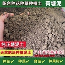 种菜养花塘泥土营养土阳台庭院蔬果种植土优质荷塘泥通用有机肥土