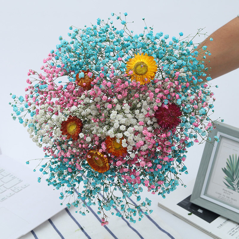 满天星 干花花束家居摆设小清新花真插客厅装饰摆件网红ins带花瓶在类目 家居饰品, 花瓶/花器/仿真花/仿真饰品, 干花/花瓣/干花包/干树枝中 - 来自Buy2taobao.com提供专业的淘宝代购服务