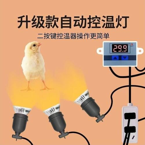 钨丝保温灯芦丁鸡取暖家禽养殖保温灯自动控温取暖灯小鸡宠物专用