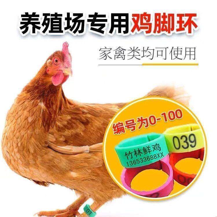 【升级款】加厚可调节卡扣式鸡脚环鸡鸭鹅数字记号识别环家禽用品