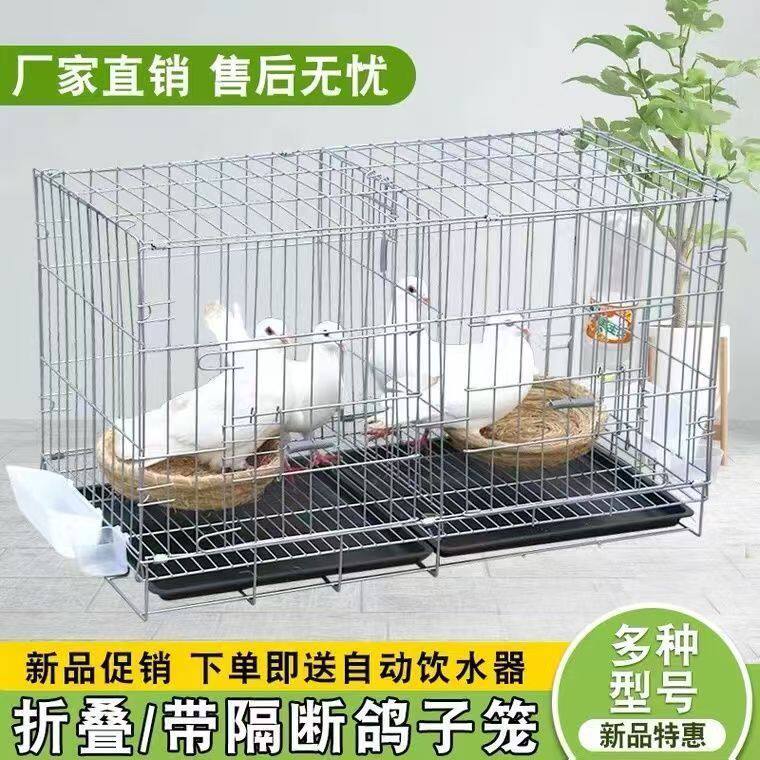 鸽子笼养鸽子专用笼养殖笼家用繁殖笼配对笼大号新型鸽舍鸽子笼子