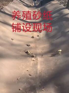 养殖铺地砂纸鸡鸭鹅专用代替地面硬化鱼塘铺地护坡坡专用砂带批发