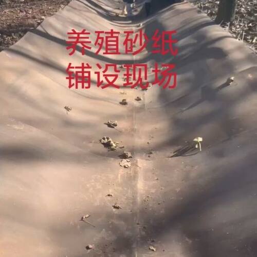 养殖铺地砂纸鸡鸭鹅专用代替地面硬化鱼塘铺地护坡坡专用砂带批发