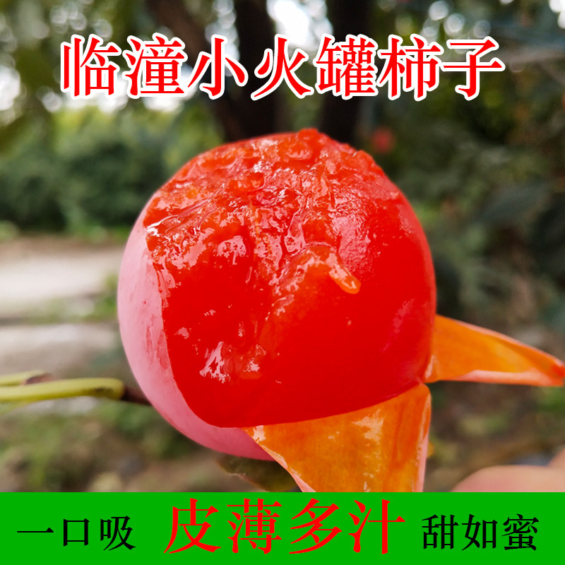 【顺丰速运】陕西特产临潼火罐柿子野生水晶柿蜜罐小柿子新鲜水果