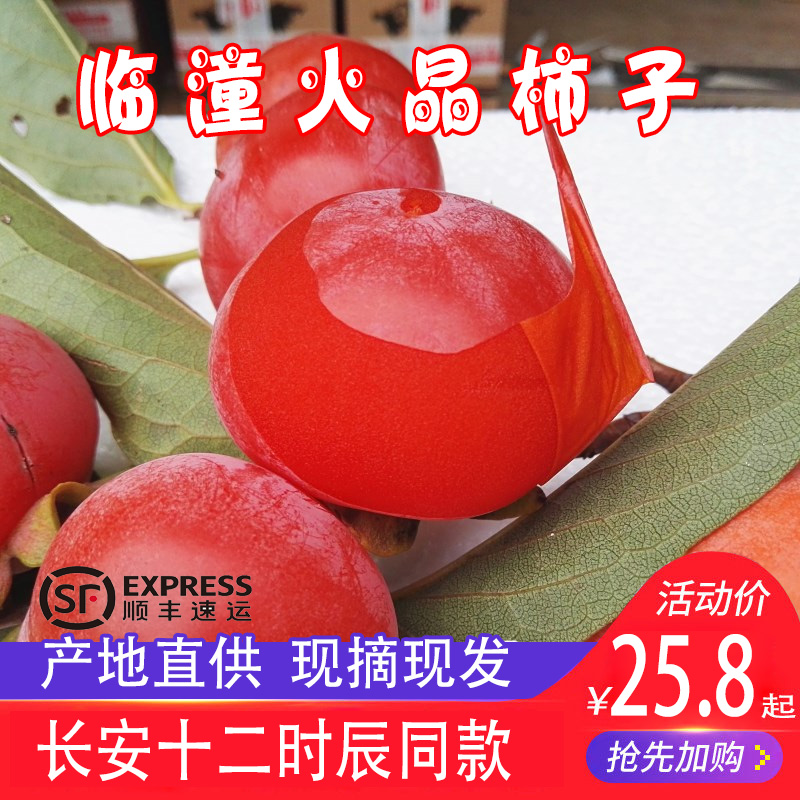 侠义道陕西特产正宗临潼火晶柿子