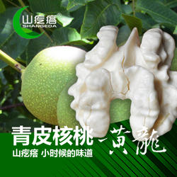 山疙瘩 陕西特产 黄龙青皮核桃 湿核桃 新鲜核桃包邮鲜核桃5斤